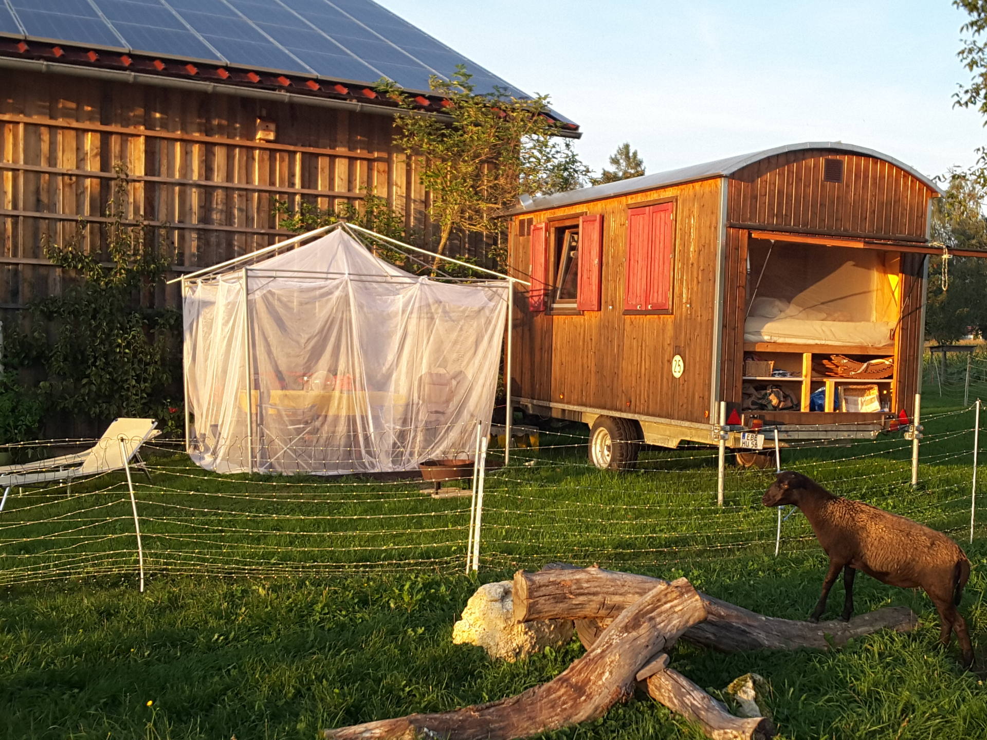 Lodge Terrazzo