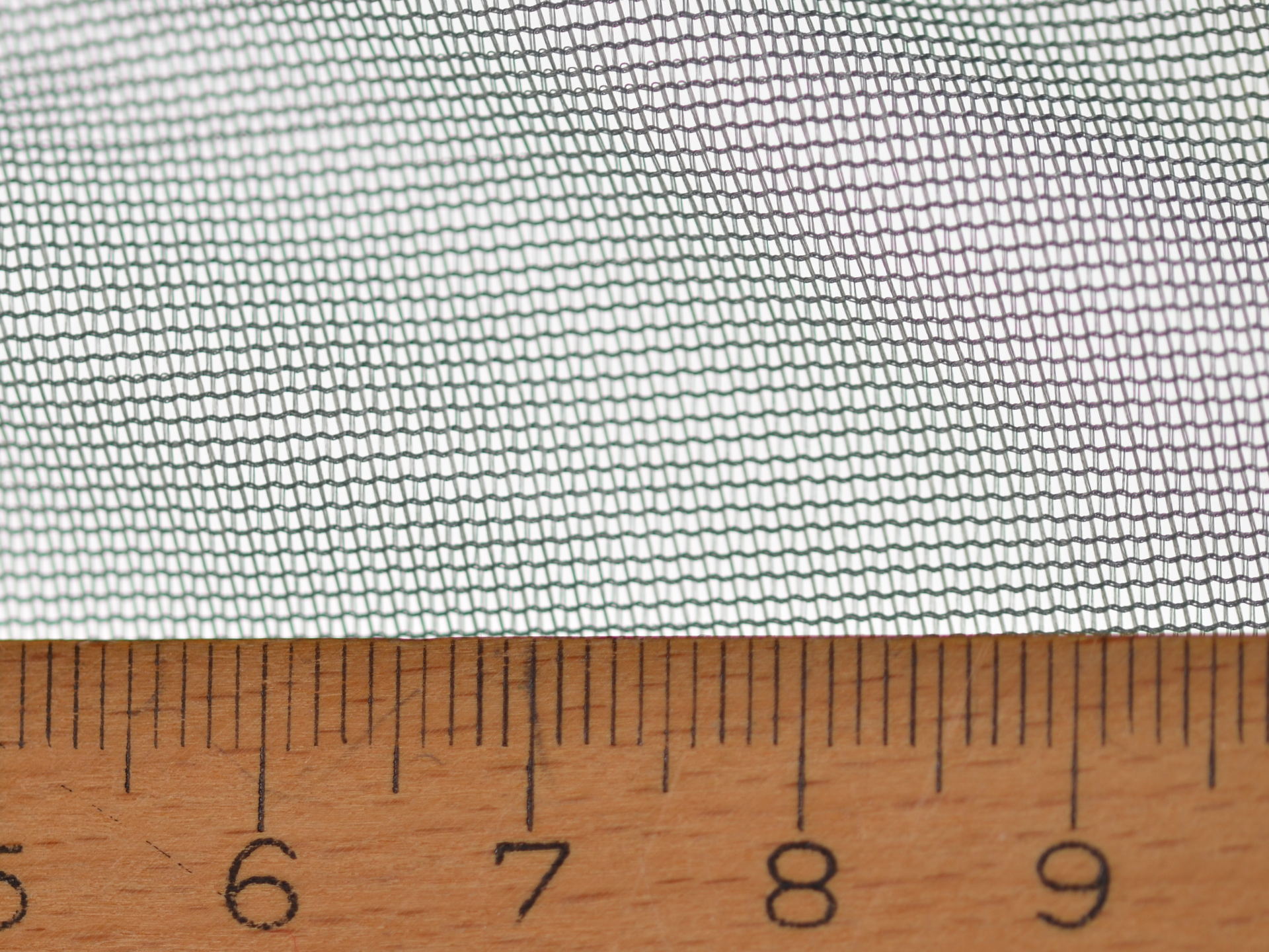 Moskito-Zelt