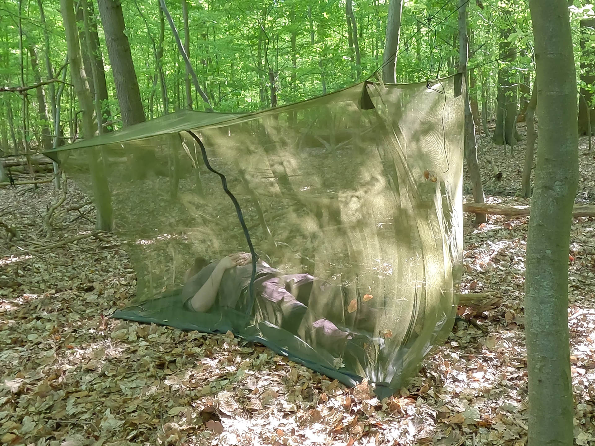 CAMP EXTREM Moskitonetz mit Boden im Wald